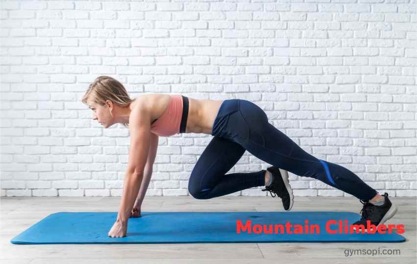 Mountain Climbers